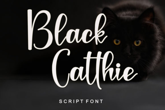 Black Catthie: A Premium Script Font for Campaigns