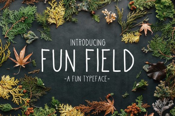 Fun Field: A Neat Handwritten Font for Web Design