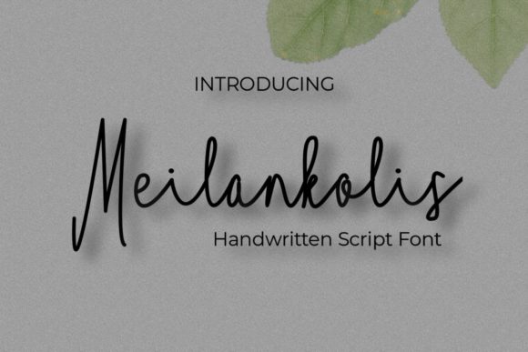 Meilankolis: A Stylish Script Font for Web Design