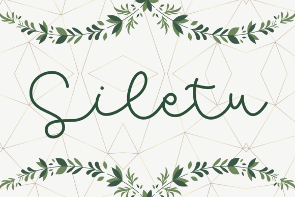 Siletu: A Designer's Review of This Premium Script Amp