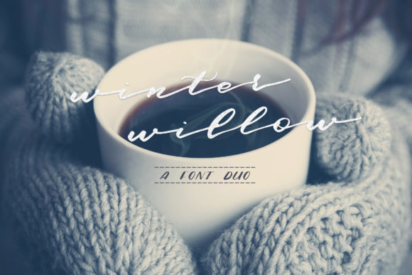 Winter Willow: A Romantic Script Font for Campaigns